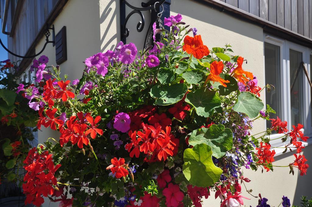 The Bosham B&B ภายนอก รูปภาพ